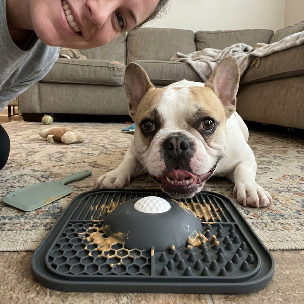 Happy dog, easier day 💛