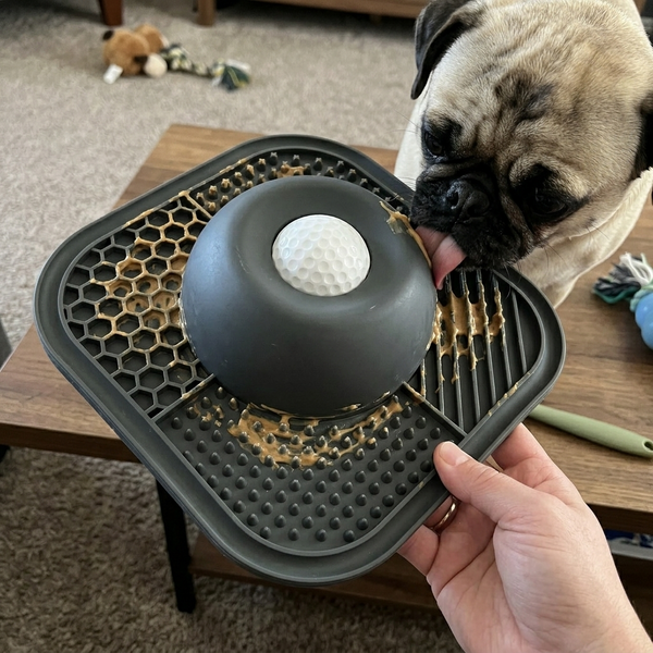 Slower treat time 🍽️
