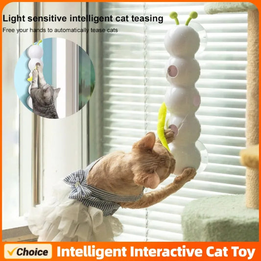 Motion Magic Cat Toy